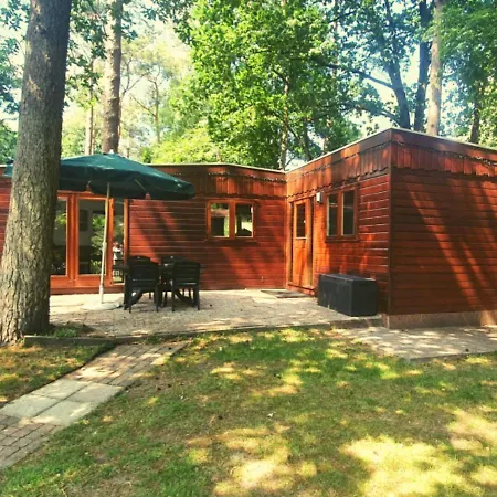 Chalet Chalet L2 Dennenrhode Doornspijk *