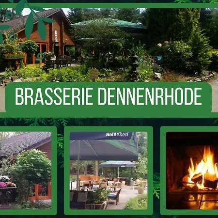 Chalet L2 Dennenrhode Doornspijk Chalet Doornspijk